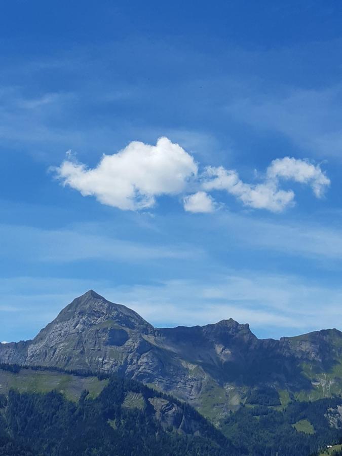 Chante Le Vent Crest-Voland Exterior foto